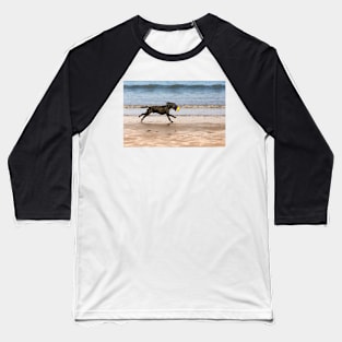 Dog &ball- Filey, Baseball T-Shirt